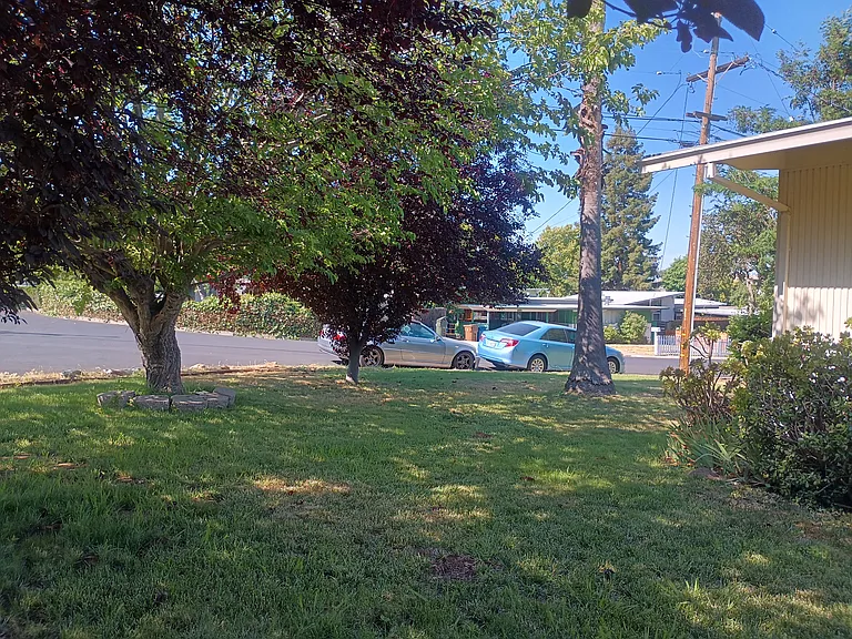 Front yard