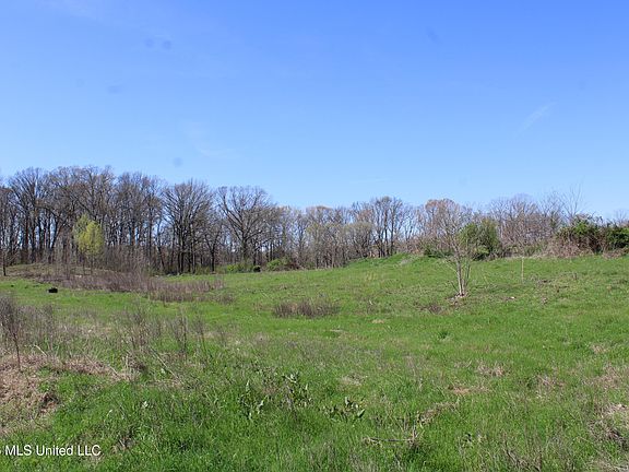 4th image of 11 Barton Desoto Rd