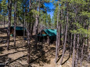 6248 Dairy Ln, Mormon Lake, AZ 86038