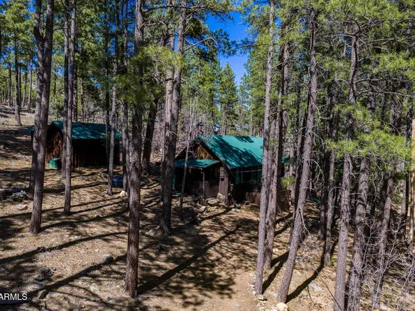 6248 DAIRY Lane, Mormon Lake, AZ 86038