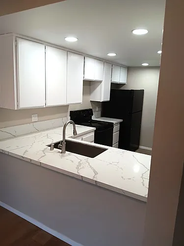3098 Rue Dorleans Photo 1