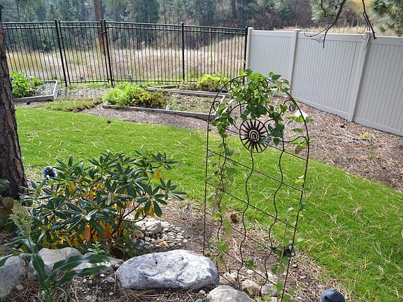 Raised beds and rhododendron