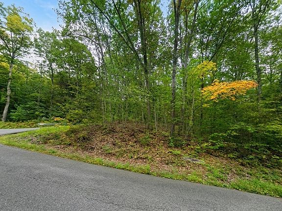 2nd image of 0 William Holmes Rd