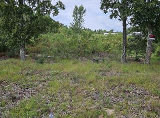 736 Bush Berry Rd, Pelion, SC 29123