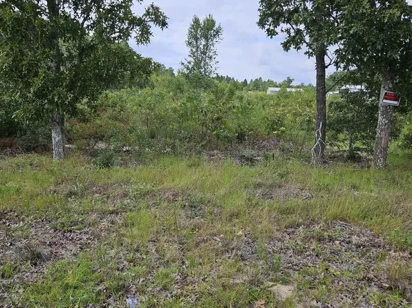 736 Bush Berry Rd, Pelion, SC 29123