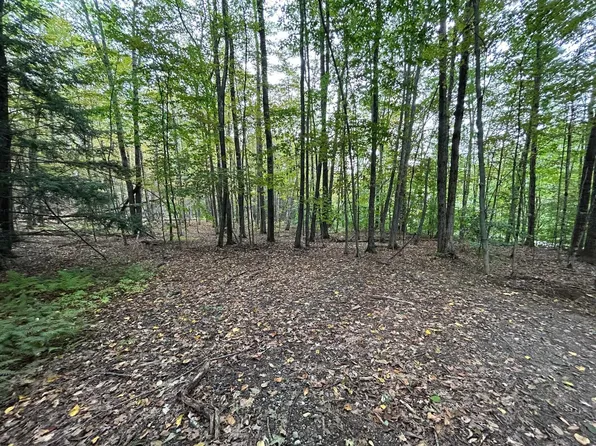 101-127 Winslow Road Map 101 Lot 127, Weare, NH 03281