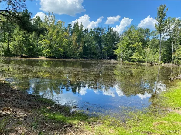 0 County Road 57, Demopolis, AL 36732