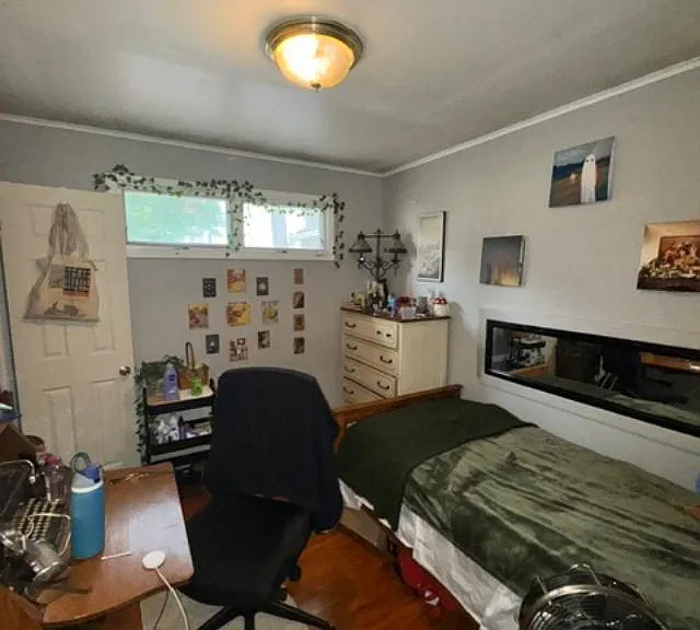 411 S Walnut St #4 — Photo 9