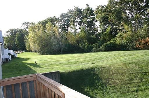 Back Porch View