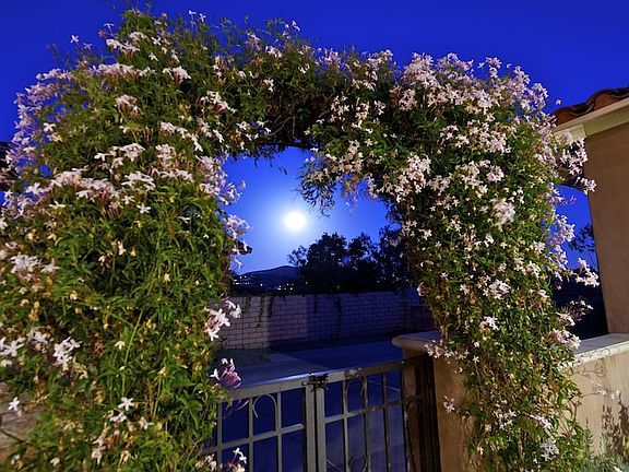 Front Gate