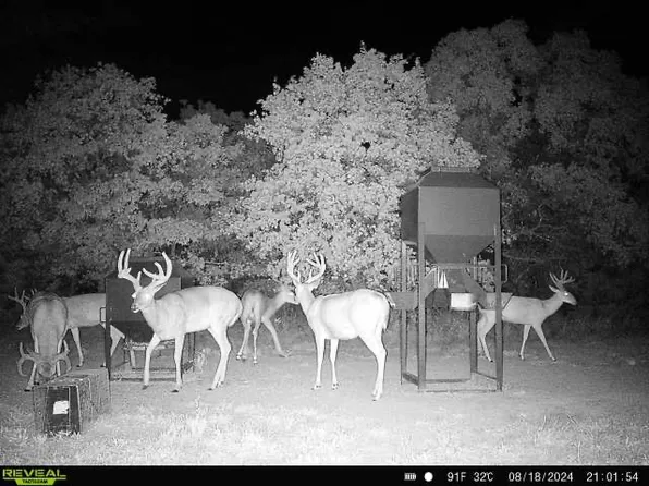 47AC W Highway 16, Drumright, OK 74030