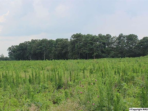 3rd image of 3013 County Road 58