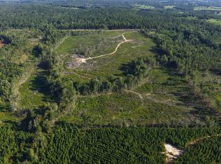 60 Highway 106, Brantley, AL 36009
