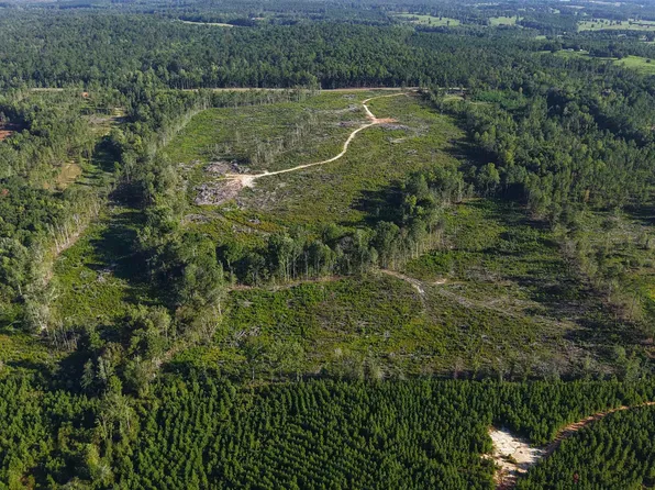 60 Highway 106, Brantley, AL 36009