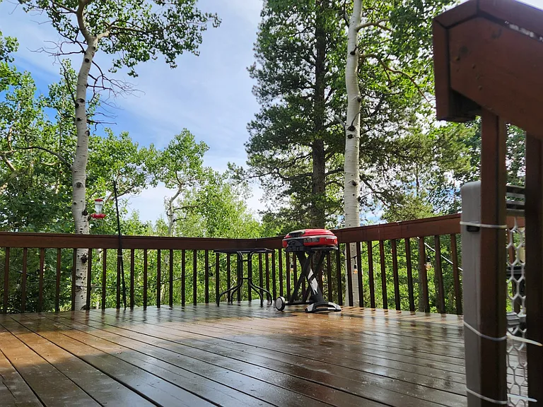 95 S Dory Lakes Dr — Photo 15