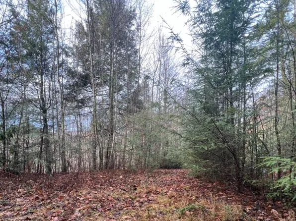 LOT 15 Moonlight Dr, Roan Mountain, TN 37687