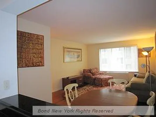 Rented by Bond New York | media 11