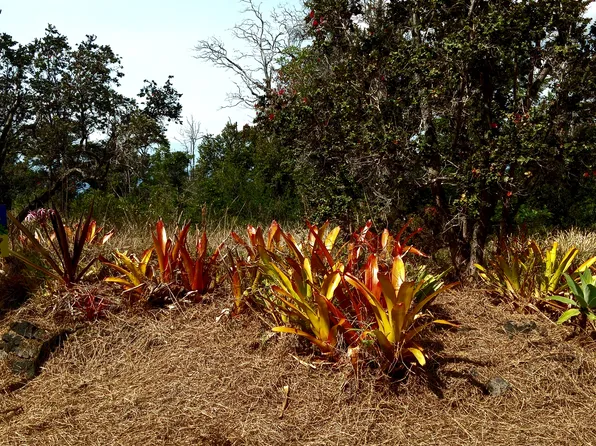 Coral Pkwy Lot 3, Ocean View, HI 96737