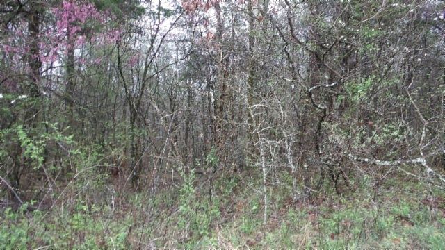 1st image of 0 Denton Rd