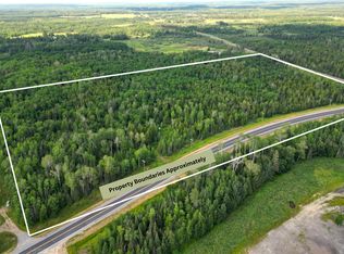 9195 Samuelson Rd, Angora, MN 55703