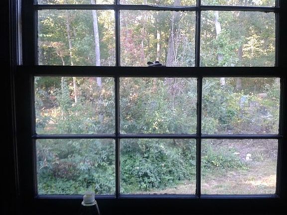 View from kitchen window