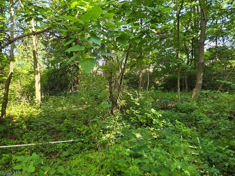 1st image of 2 Hewlett Rd