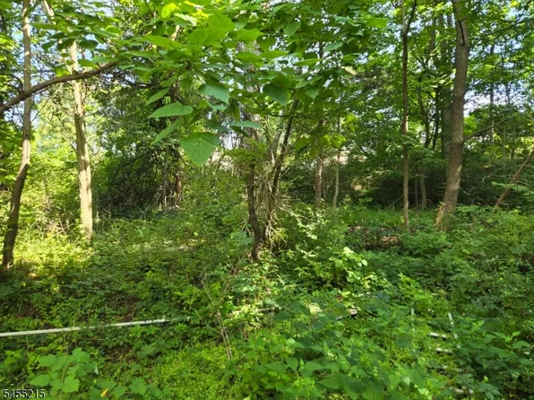 2 Hewlett Rd, Montville Twp., NJ 07082