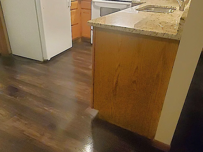 410 S Division St #1 — Photo 19