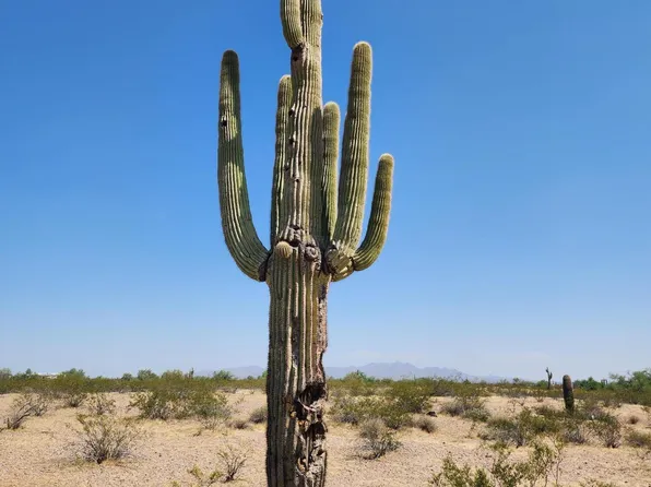 000 W Dove Valley Road #132, Wittmann, AZ 85361