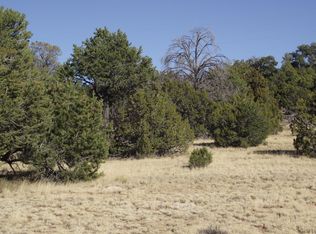 12179 N Chino Rd #466, Williams, AZ 86046