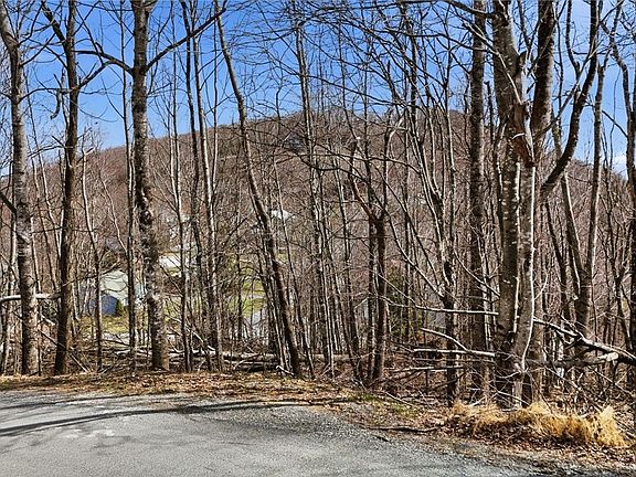 5th image of 0 Chestnut Trail