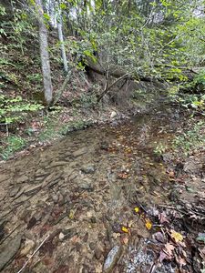 0 Goshen Valley Rd #56, Church Hill, TN, 37642