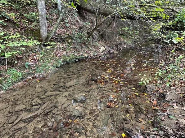 0 Goshen Valley Rd #56, Church Hill, TN 37642