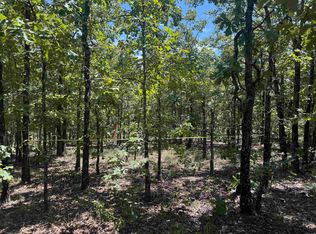 51 Seven Lakes Ranch Blvd, Conway, AR 72032