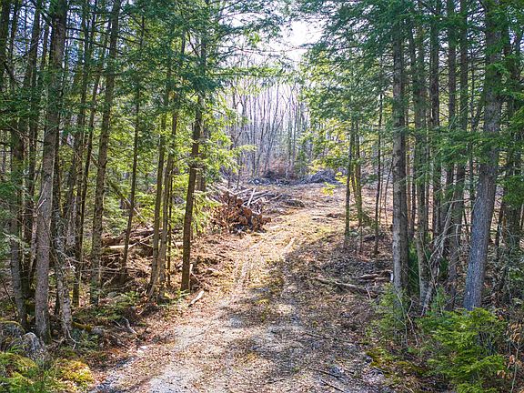 2nd image of 0 Hominy Pot Road