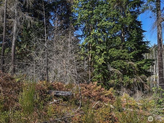3rd image of 20 Acres SW Hunter Road