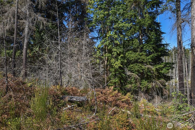 3rd image of 20 Acres SW Hunter Road