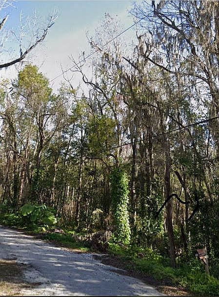 1st image of Olive St