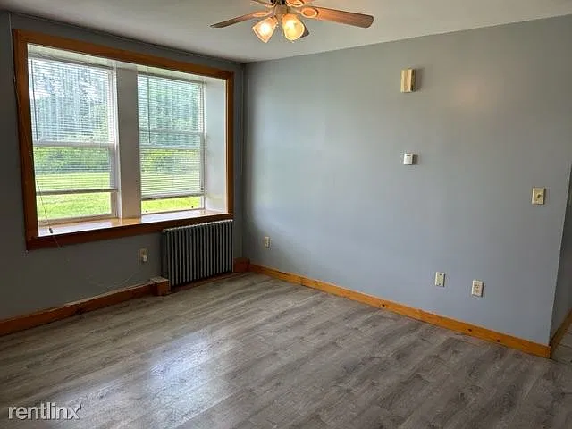 Living room windows
