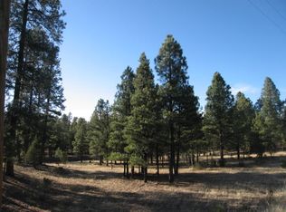 2826 Cherokee Way, Happy Jack, AZ 86024
