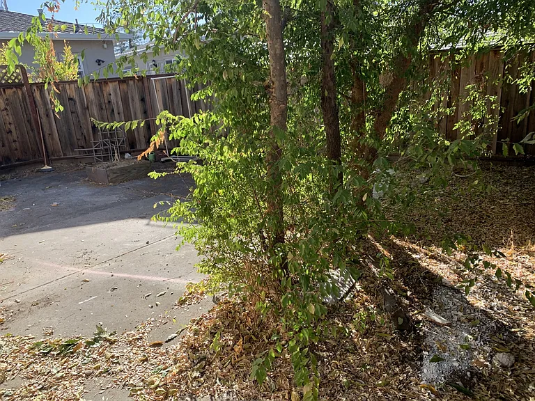10235 University Way #10235 — Photo 3
