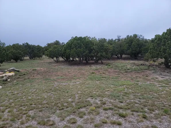 100 High Vista Ct, Edgewood, NM 87015