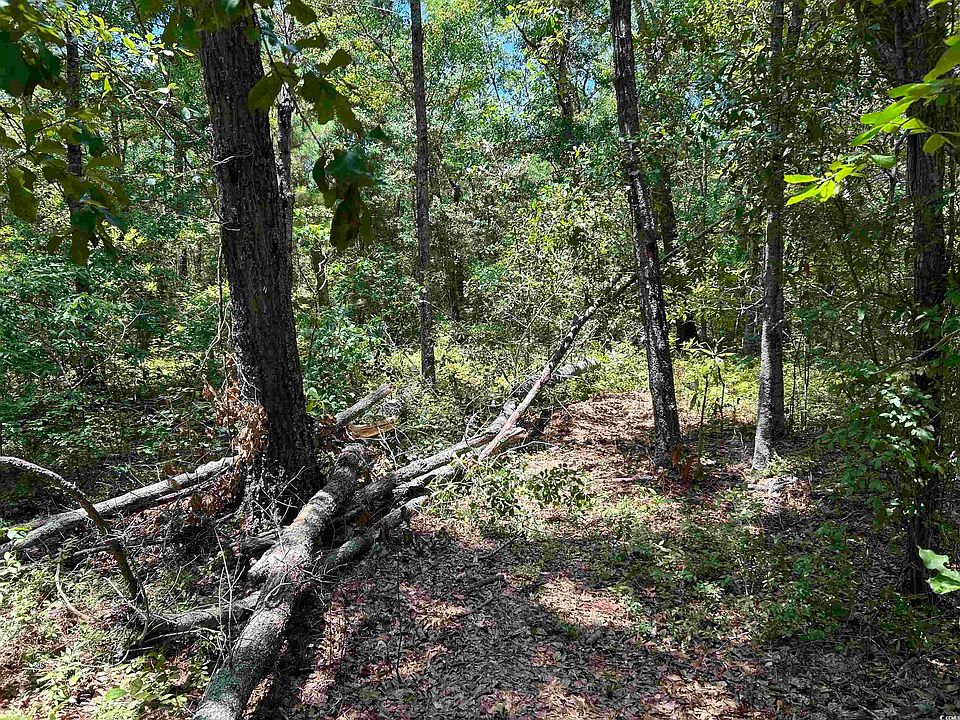 2nd image of TBD Byrnes Circle
