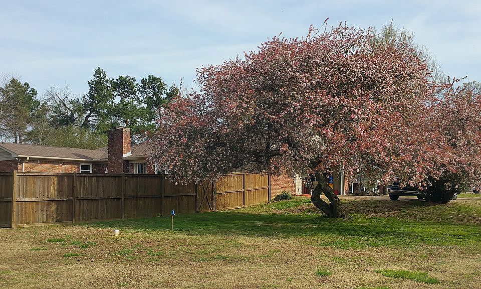 2nd image of 3739 Brownsville Hwy