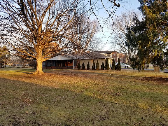 Large backyard, mature trees
