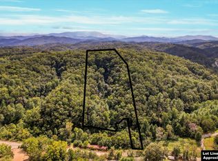 1316 River Divide Rd, Sevierville, TN 37862