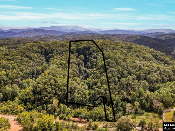 1316 River Divide Rd, Sevierville, TN 37862