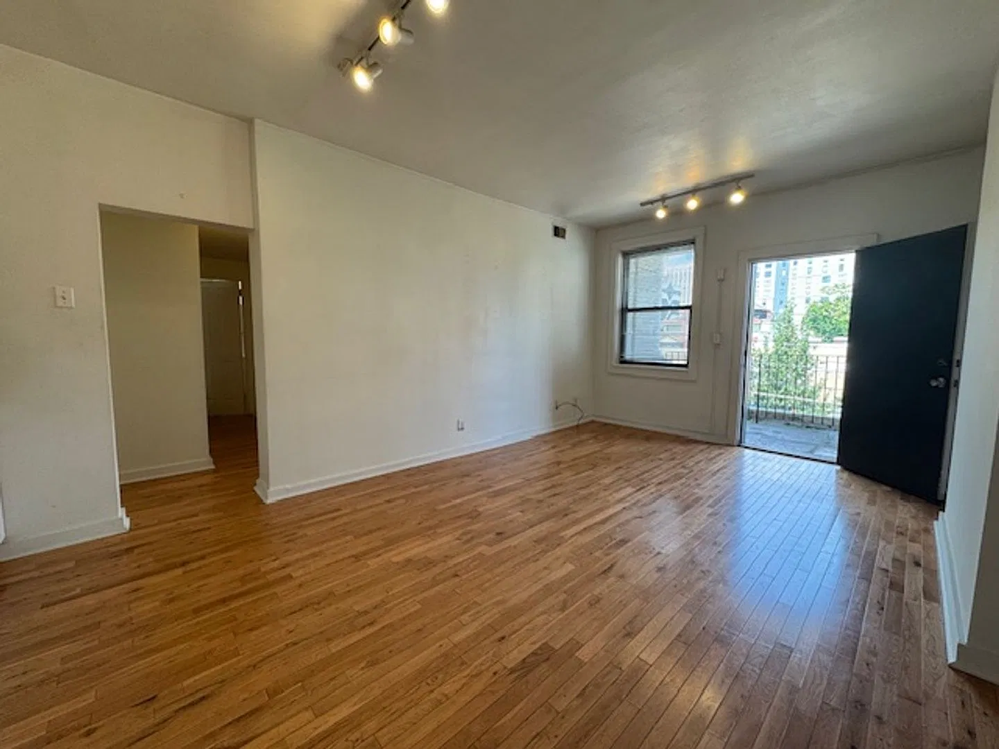 3530 Louisa Street — Photo 4