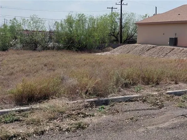 00 Las Colinas Cir, Roma, TX 78584