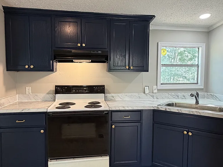 3637 Walhalla Hwy — Photo 8
